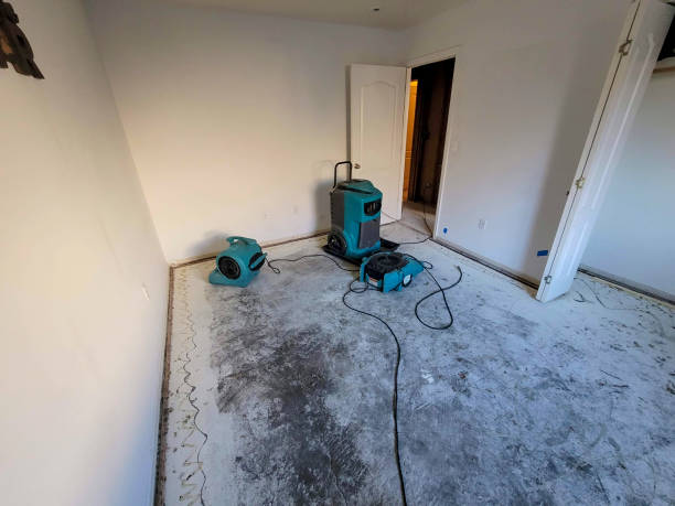 Best Flood restoration services  in Hutchinson, KS