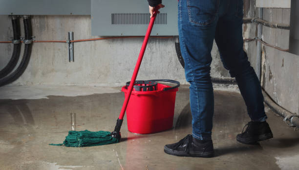 Best Local water damage restoration  in Hutchinson, KS