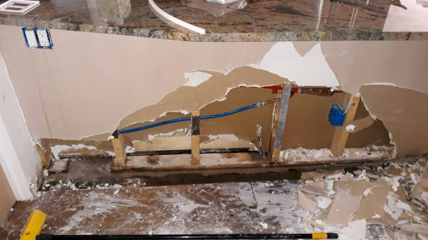Best Flood damage cleanup  in Hutchinson, KS