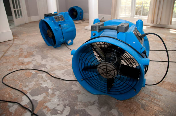 Best Carpet water damage restoration  in Hutchinson, KS