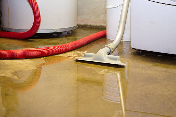 Best Water damage cleanup near me  in Hutchinson, KS